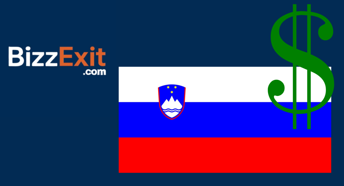 Sell Your Business in Slovenia – The Complete Guide to Exiting Your Business with BizzExit