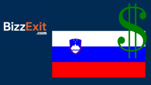 Sell Your Business in Slovenia – The Complete Guide to Exiting Your Business with BizzExit