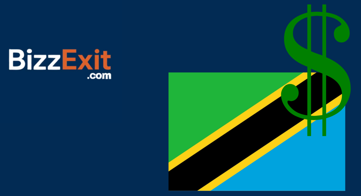 Sell Your Business in Tanzania – The Complete Guide to Exiting Your Business with BizzExit
