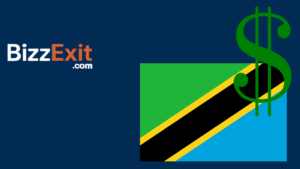 Sell Your Business in Tanzania – The Complete Guide to Exiting Your Business with BizzExit Sell Your Business in Tanzania – The Complete Guide to Exiting Your Business with BizzExit