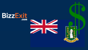 Sell Your Business in the British Virgin Islands – The Complete Guide to Exiting Your Business with BizzExit