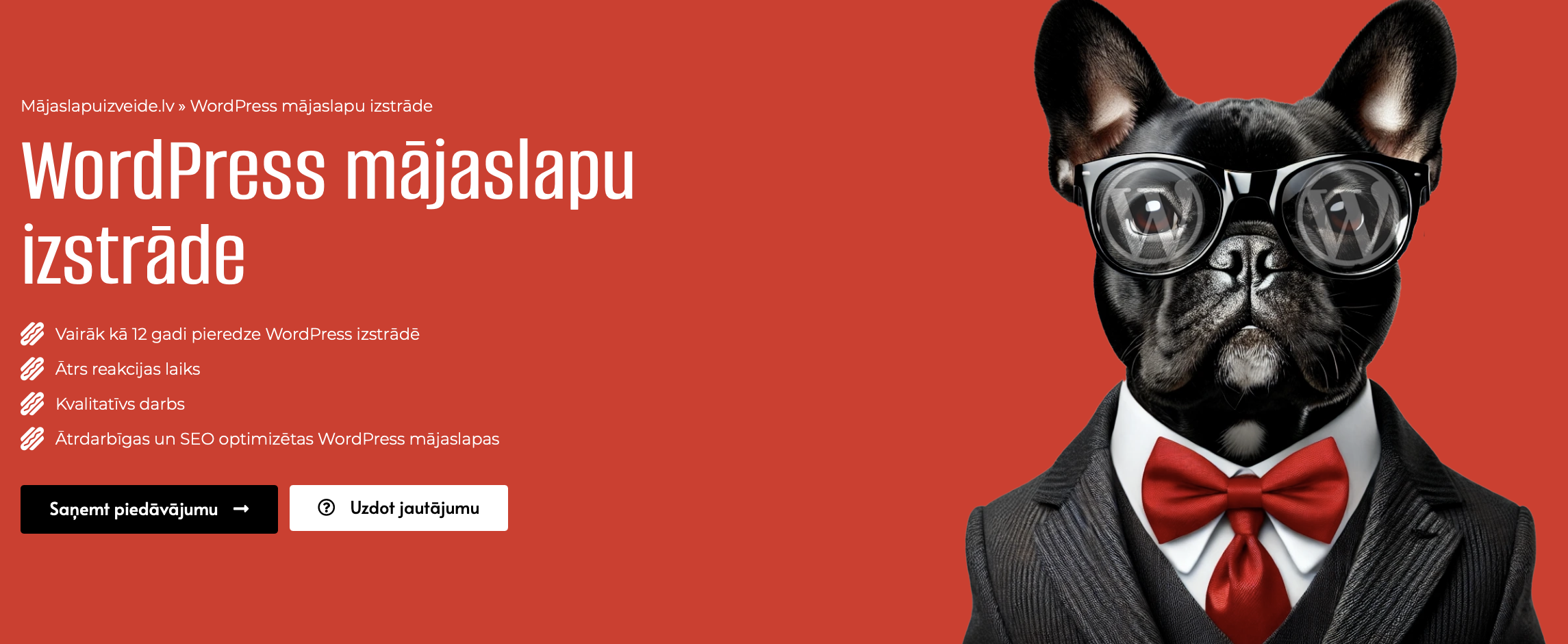WordPress website and online store development