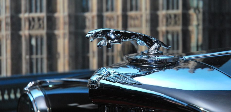 Limousine service company for sale in Dubai