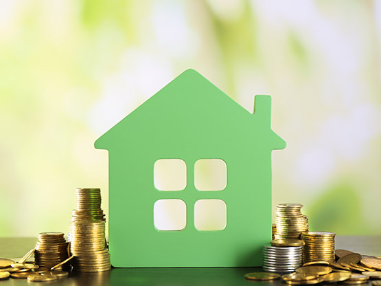 Investment loan