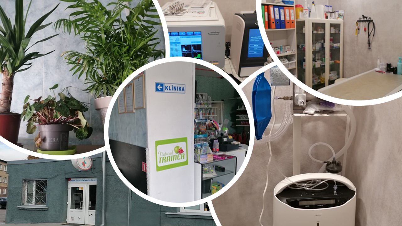 Veterinary clinic, pet store/pharmacy, e-shop
