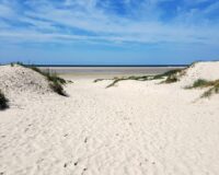 beach-2669591_1280