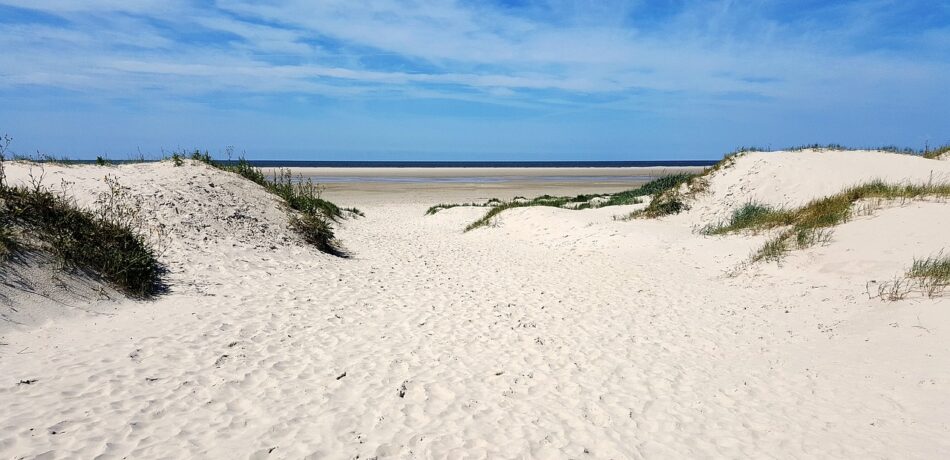 We are buying land by the sea. Please send offers by email.