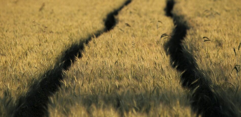 Let’s buy land in Lestene or its surroundings
