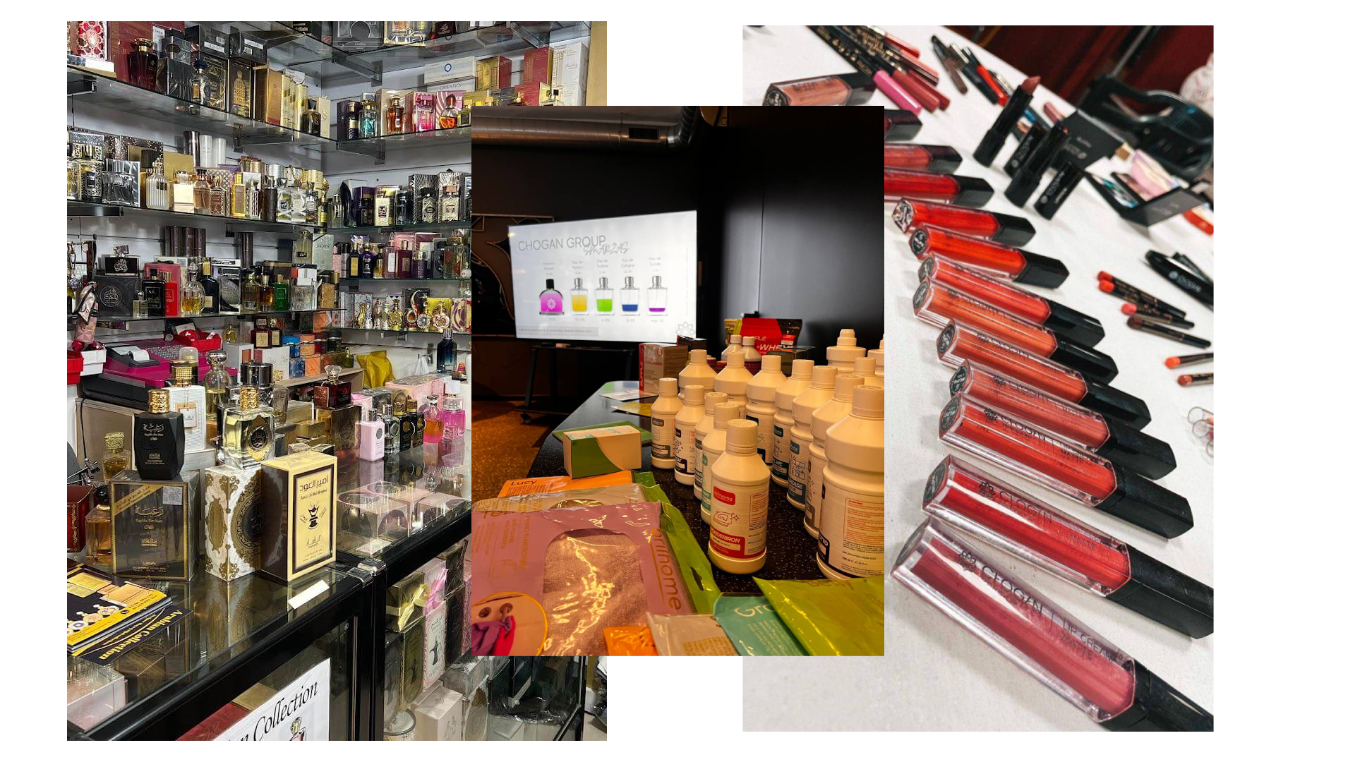 Ready-made international profitable e-commerce business with daily orders | 90% organic flow