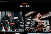 Online Fitness Business for Sale – Premium Website