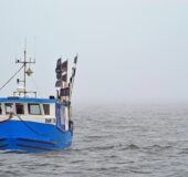 We-buy-ships-large-boats