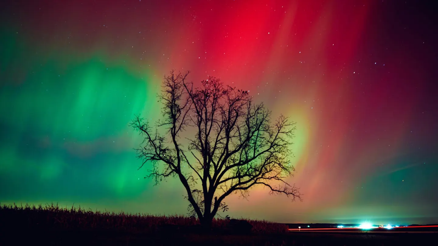 For sale: an AI (Artificial Intelligence) content production studio with a client database.