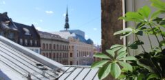 Established 76-Bed Hostel in Riga Old Town