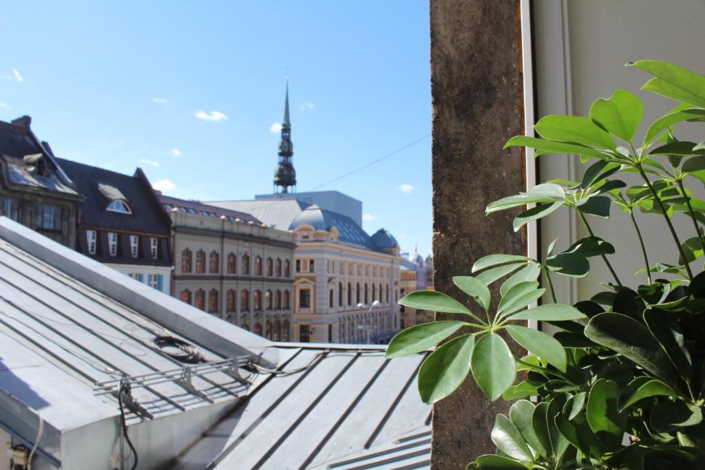 Established 76-Bed Hostel in Riga Old Town