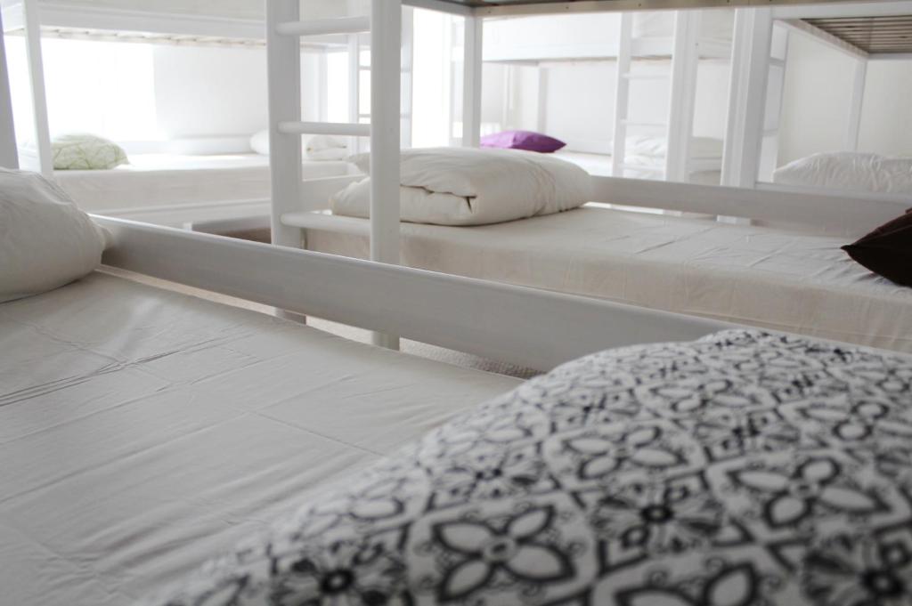 Established 76-Bed Hostel in Riga Old Town