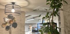 Restaurant Business for Sale in Riga Centre
