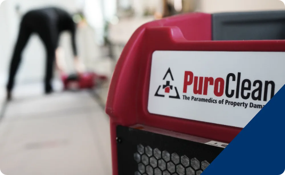 PuroClean