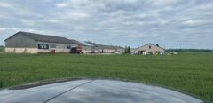 INCOME-BEARING INDUSTRIAL COMPLEX IN LATVIA, NEAR SALDUS FOR SALE