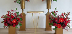 DecoRento-Established Event Decor Rental Brand for Sale ( Estonia)
