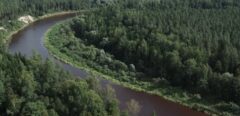 Hospitality business for sale on the banks of the Gauja River, 12 km from Valmiera.