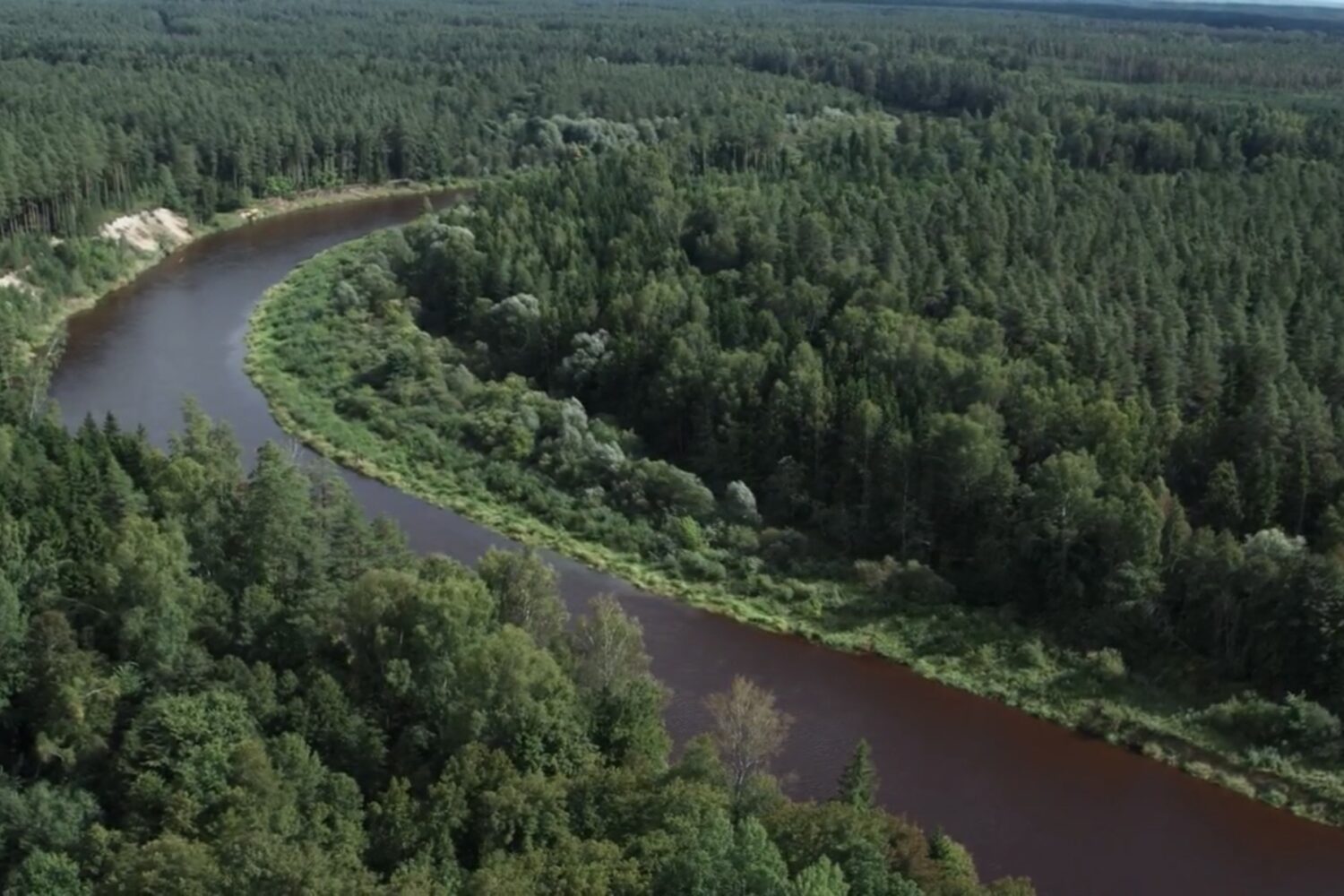 Hospitality business for sale on the banks of the Gauja River, 12 km from Valmiera.