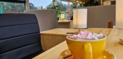 For sale: unique Coffee Bus / Food Truck / Event Bus – Solaris Urbino 12