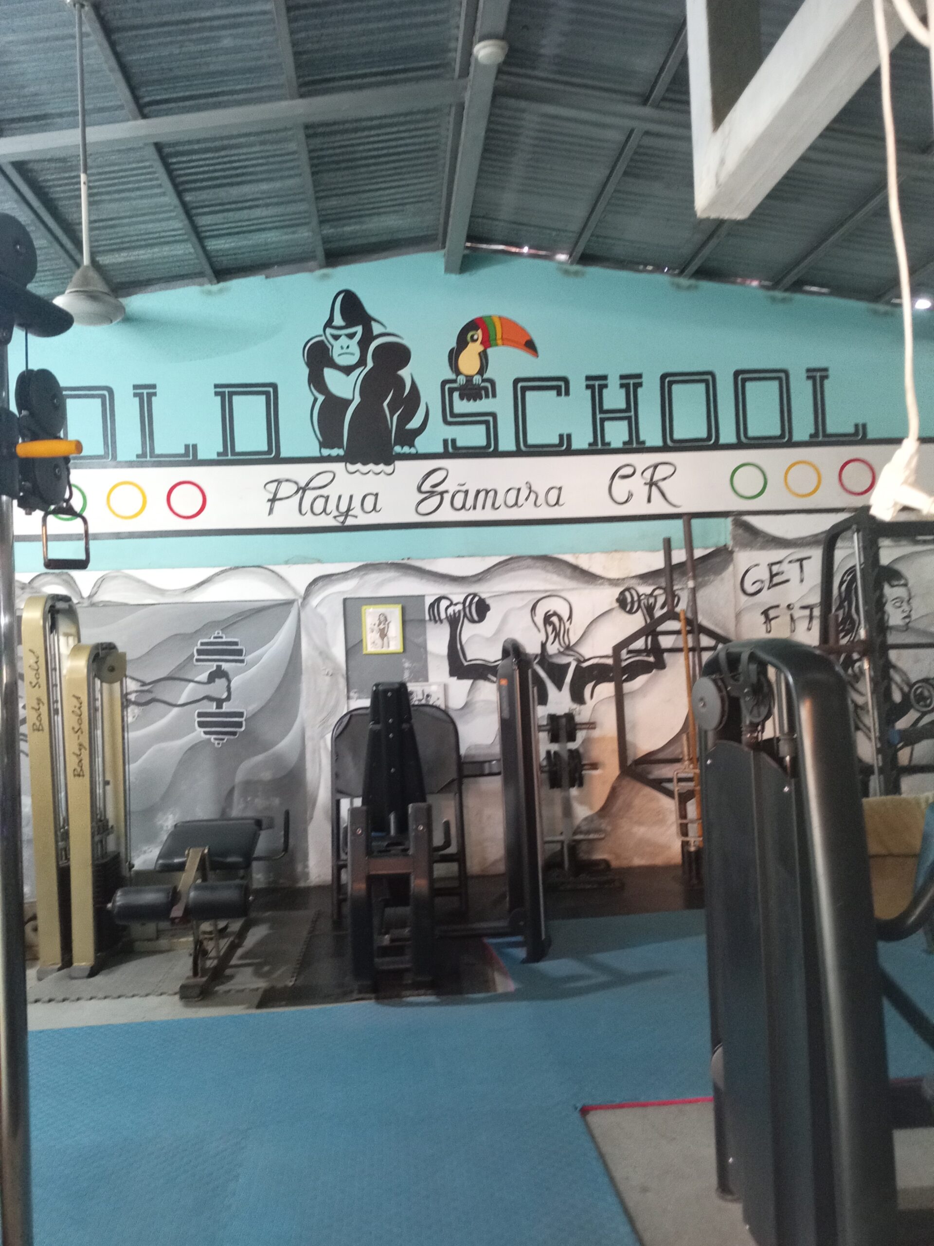 Gym – Fitness