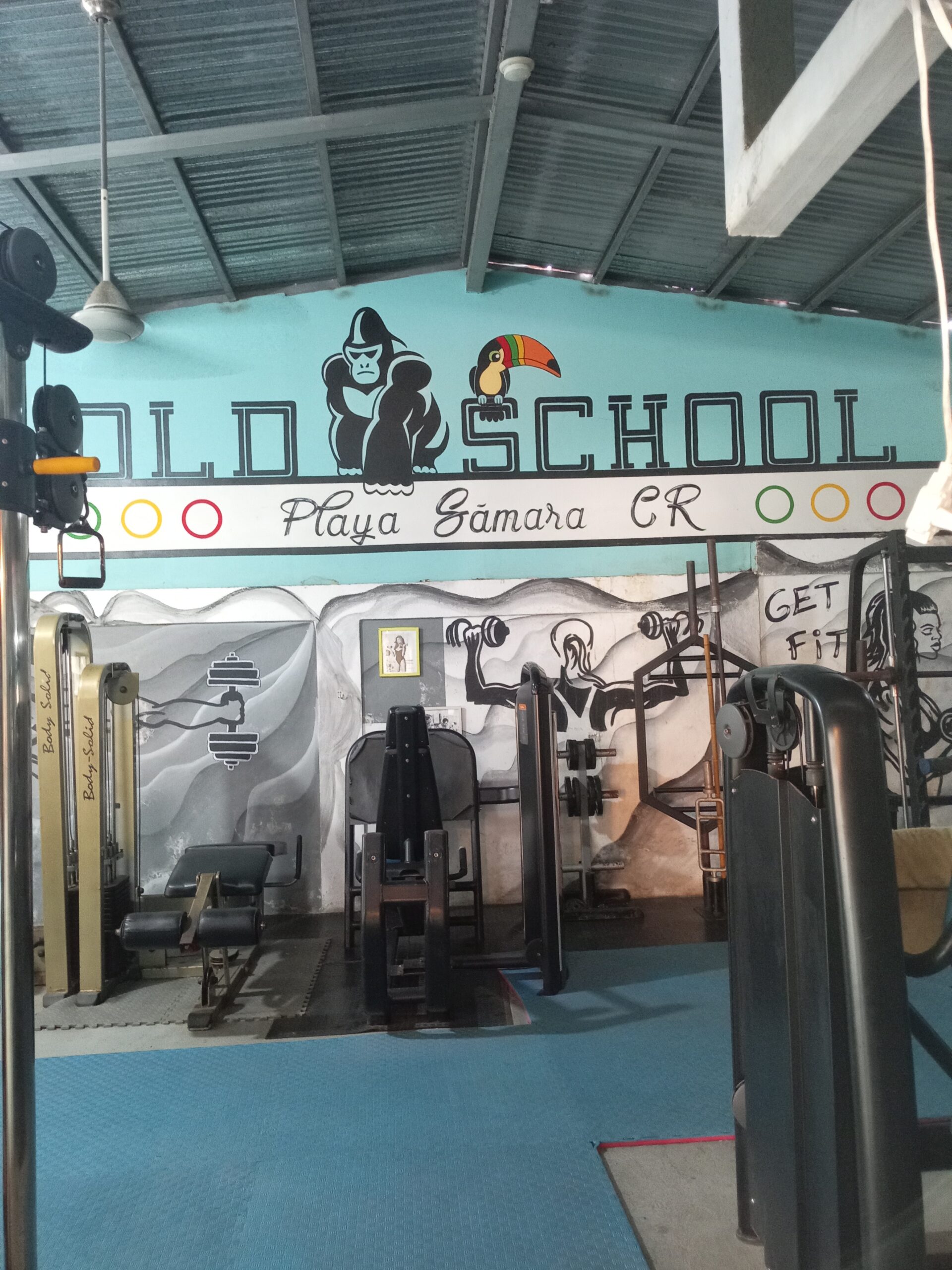 Gym – Fitness